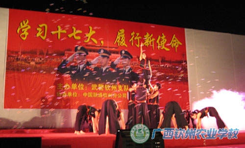 舞蹈《壮族大歌》的精彩画面